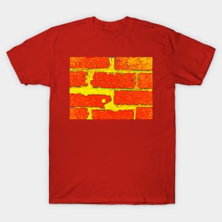 Hungry Brick T-Shirt